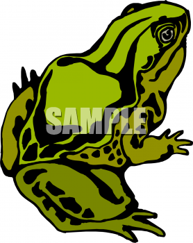 Frog Clipart
