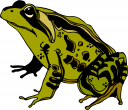 Frog Clipart