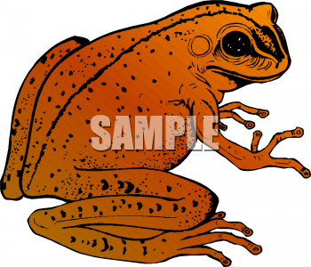 Frog Clipart