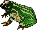 Frog Clipart