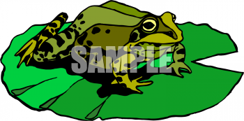 Frog Clipart