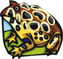 Frog Clipart
