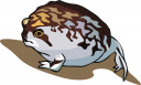 Frog Clipart