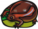 Frog Clipart