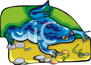 Frog Clipart