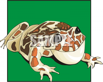 Frog Clipart