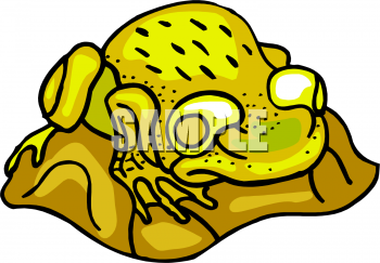 Frog Clipart
