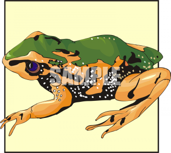 Frog Clipart