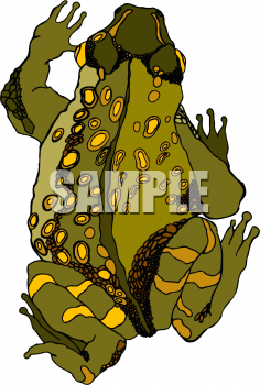 Frog Clipart