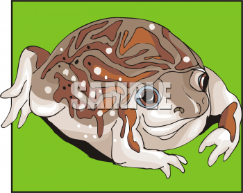 Frog Clipart