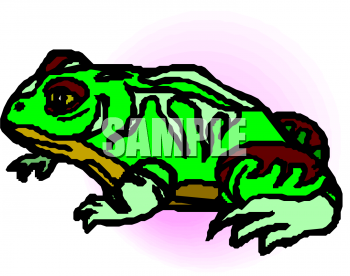 Frog Clipart