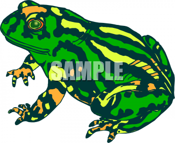 Frog Clipart