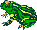 Frog Clipart