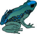 Frog Clipart
