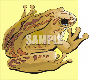 Royalty Free Frog Clipart