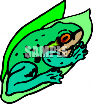 Frog Clipart