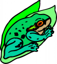 Frog Clipart