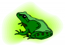 Frog Clipart