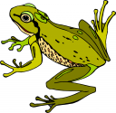 Frog Clipart