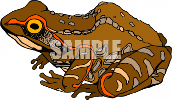 Frog Clipart