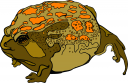 Frog Clipart