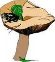 Frog Clipart