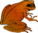 Frog Clipart
