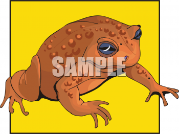 Frog Clipart