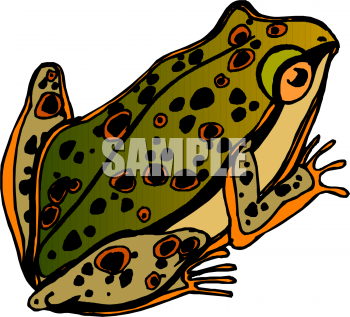 Frog Clipart