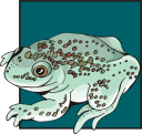 Frog Clipart