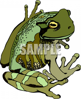 Frog Clipart