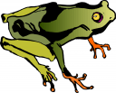 Frog Clipart