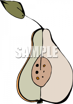 Pear Clipart