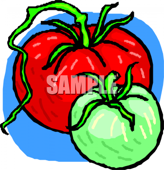 Tomato Clipart