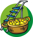 Pear Clipart