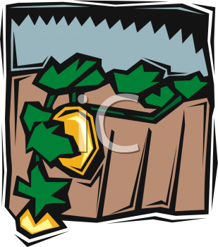 Garden Clipart