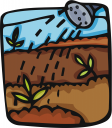 Garden Clipart
