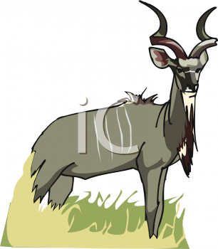 Mammal Clipart