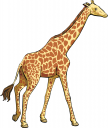 Giraffe Clipart