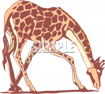 Giraffe Clipart