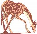Giraffe Clipart