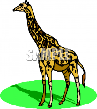 Giraffe Clipart