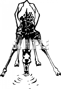 Giraffe Clipart