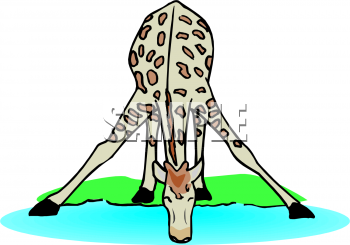 Giraffe Clipart