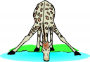 Giraffe Clipart