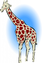 Giraffe Clipart