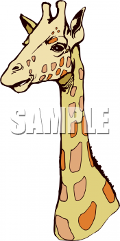 Giraffe Clipart