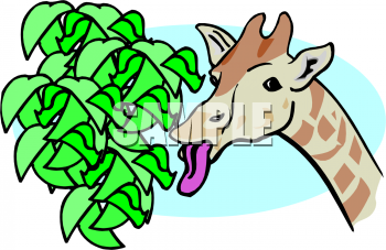 Giraffe Clipart