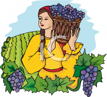 Harvest Clipart