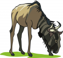 Deer Clipart